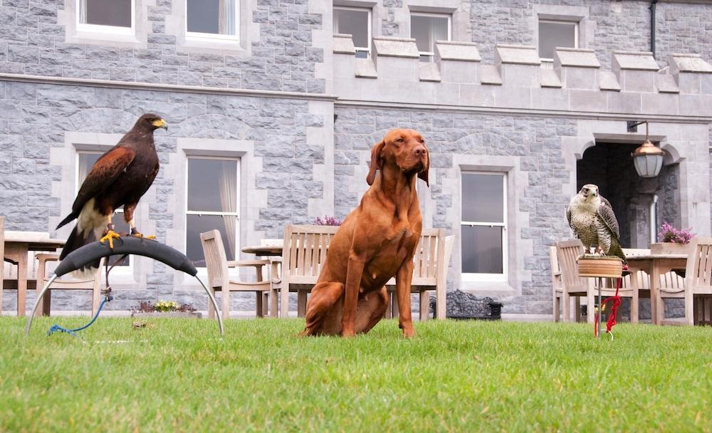 Mount Falcon Estate バリナ エクステリア 写真