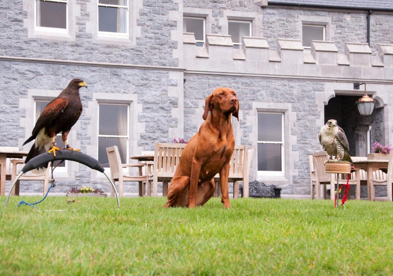 Mount Falcon Estate バリナ エクステリア 写真