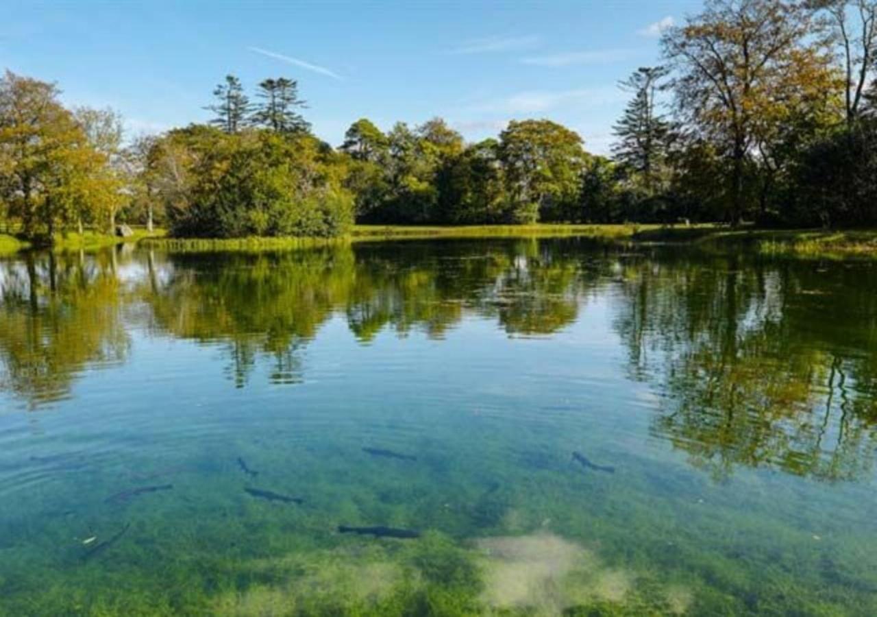 Mount Falcon Estate バリナ エクステリア 写真